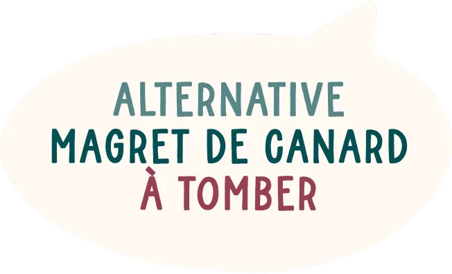Alternative Magret de Canard